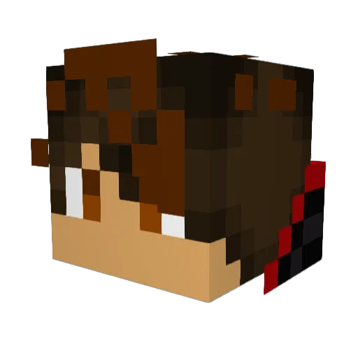 ABCLucas123 Minecraft avatar head, 3D render