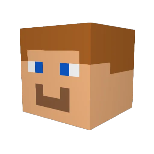 ABCXYZ123987 Minecraft avatar head, 3D render