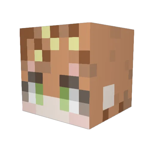 ABIN0227 Minecraft avatar head, 3D render