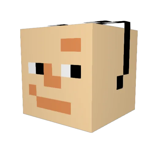 ABOYGH9 Minecraft avatar head, 3D render