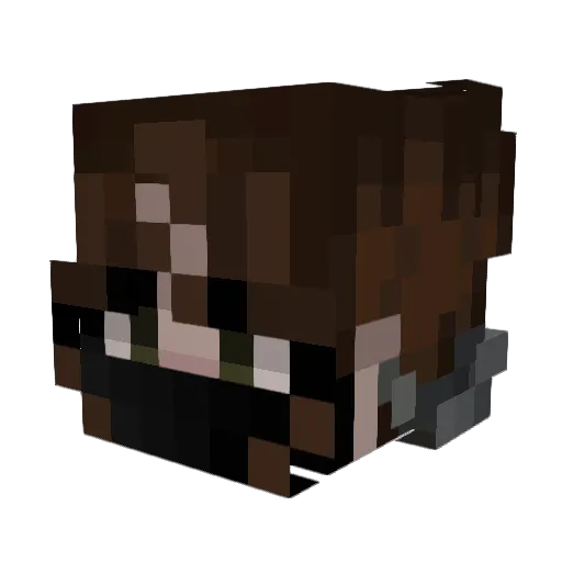 ABR4XA_sS Minecraft avatar head, 3D render