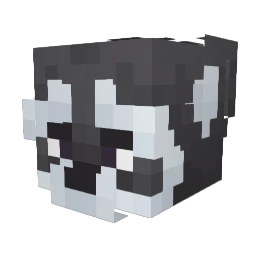 ABT0P Minecraft avatar head, 3D render