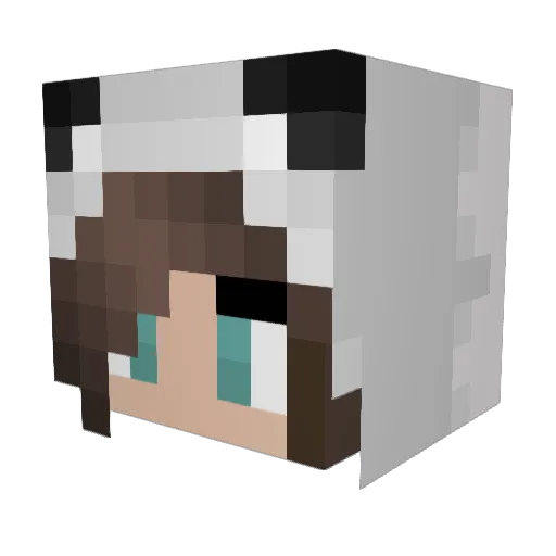 ABadPanda Minecraft avatar head, 3D render