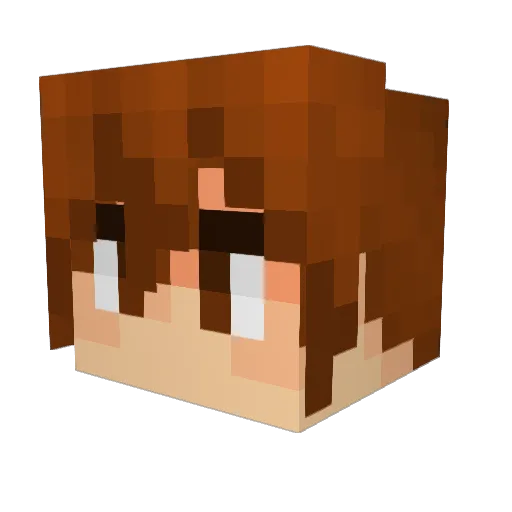 ABeeZeee Minecraft avatar head, 3D render