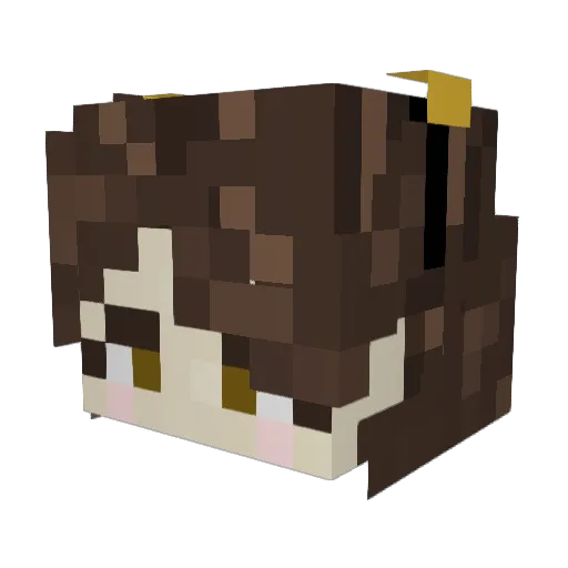 ABirdOnAWire Minecraft avatar head, 3D render