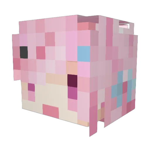 ABlast114514 Minecraft avatar head, 3D render