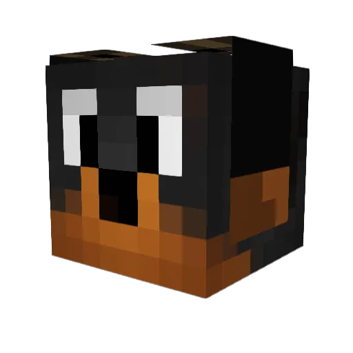 ABoyCalledSue Minecraft avatar head, 3D render