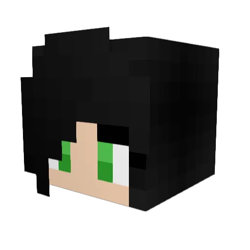 ABugNamedJune Minecraft avatar head, 3D render