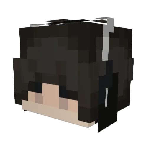 AC3Y_WAC3Y Minecraft avatar head, 3D render