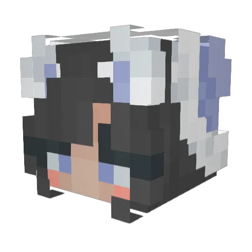 ACCVS Minecraft avatar head, 3D render