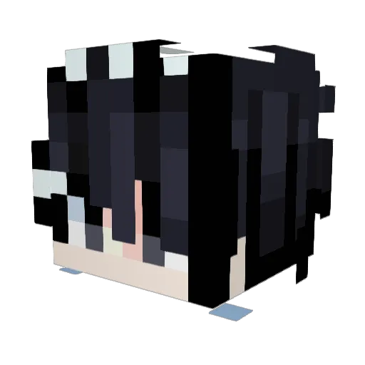 ACEDCM Minecraft avatar head, 3D render