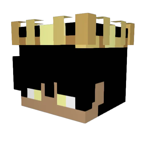ACEGOTICE Minecraft avatar head, 3D render