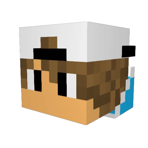 ACESMURRAY Minecraft avatar head, 3D render