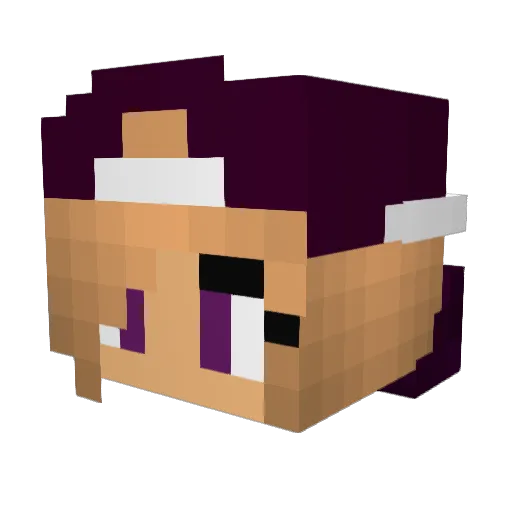 ACEofCAREFUL Minecraft avatar head, 3D render