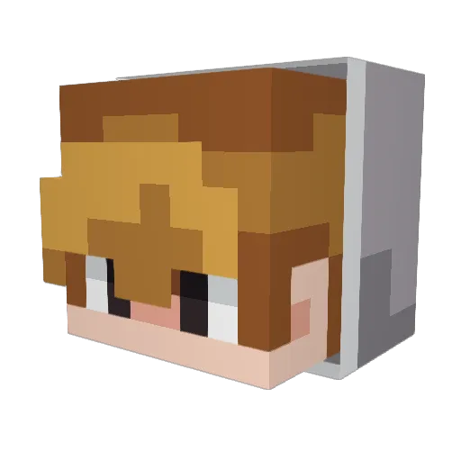 ACEvids Minecraft avatar head, 3D render