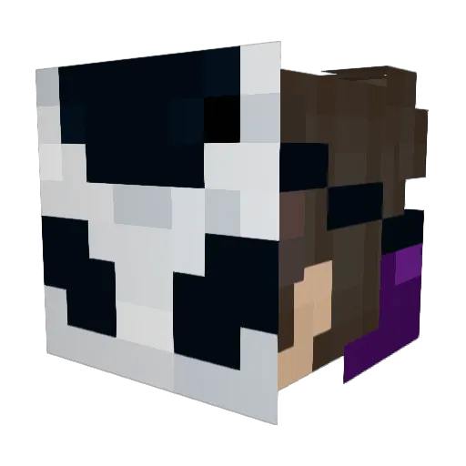 ACFRIO184 Minecraft avatar head, 3D render