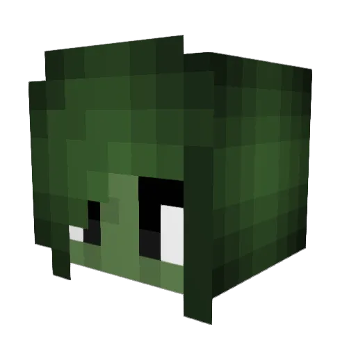 ACIDMOONSTONE Minecraft avatar head, 3D render