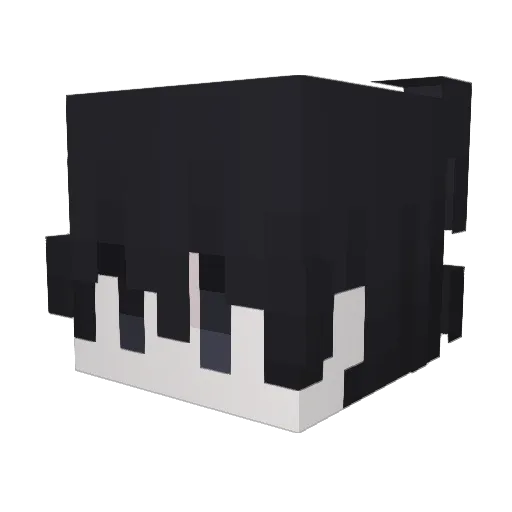 ACKFY Minecraft avatar head, 3D render
