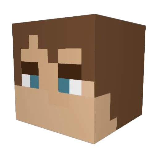 ACL4890 Minecraft avatar head, 3D render
