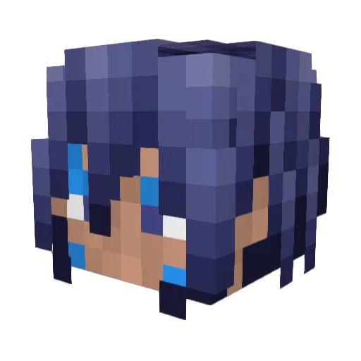 ACN0L0GIA Minecraft avatar head, 3D render