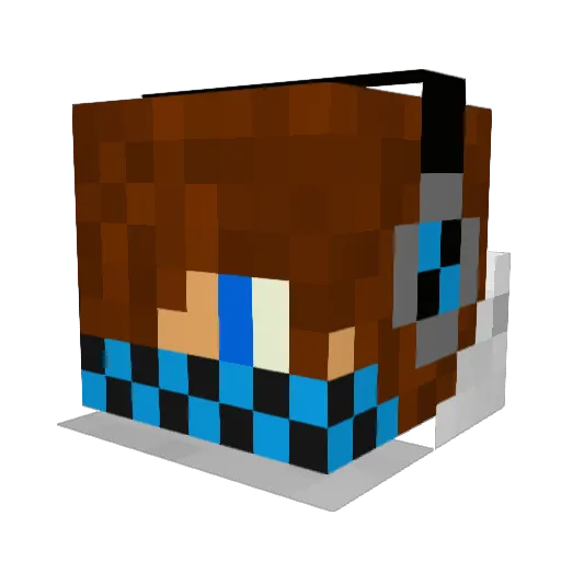 ACQR2000 Minecraft avatar head, 3D render