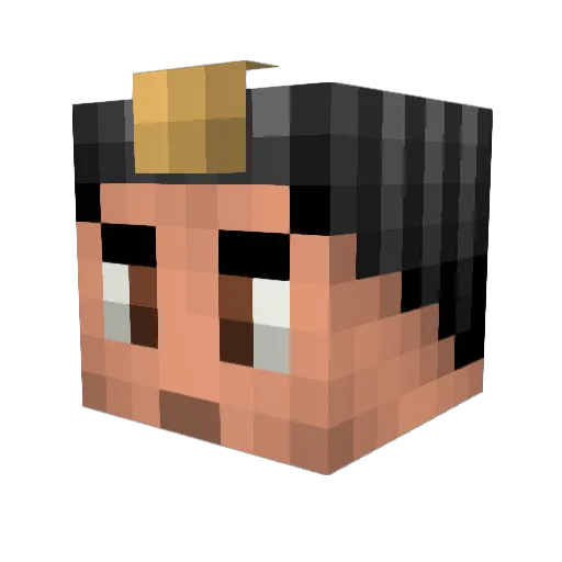 ACRSwag Minecraft avatar head, 3D render