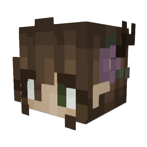 ACSpaceGamer Minecraft avatar head, 3D render