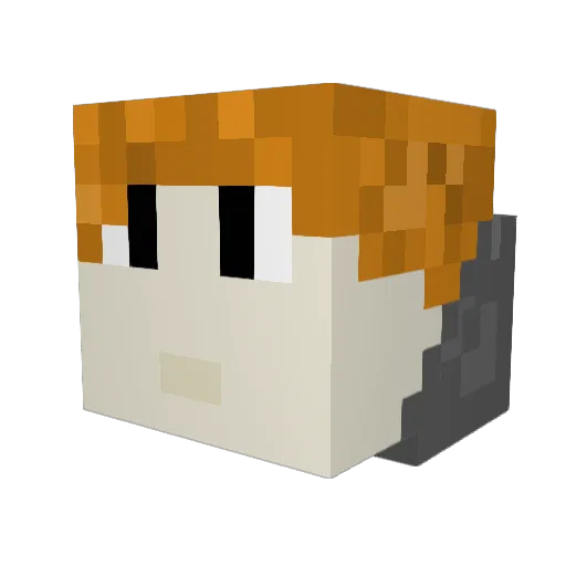 ACTION_SAM Minecraft avatar head, 3D render