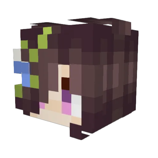 ACTIVATE_ZY Minecraft avatar head, 3D render