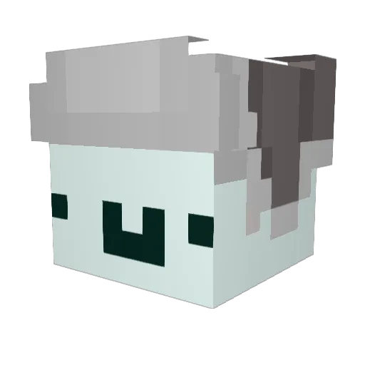 AC_855 Minecraft avatar head, 3D render