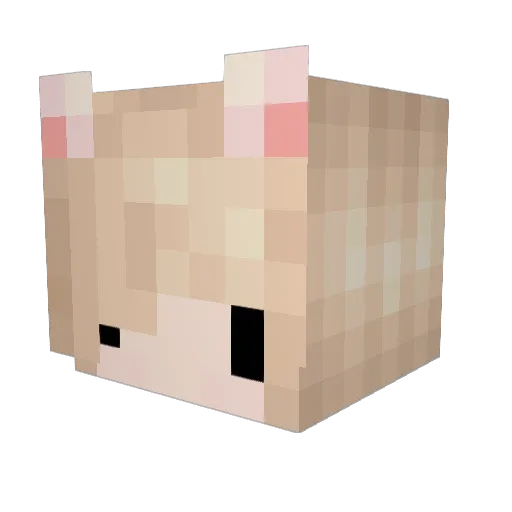 AC_JonYu Minecraft avatar head, 3D render