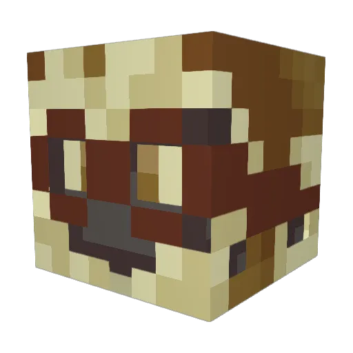 ACarr3 Minecraft avatar head, 3D render