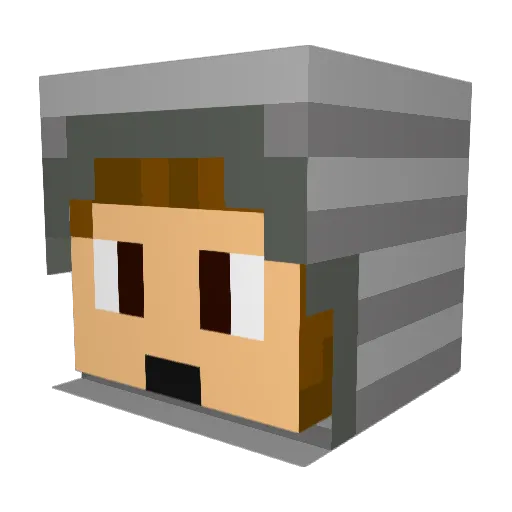 ACatonAcid Minecraft avatar head, 3D render