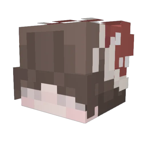 AChinesePenguin Minecraft avatar head, 3D render