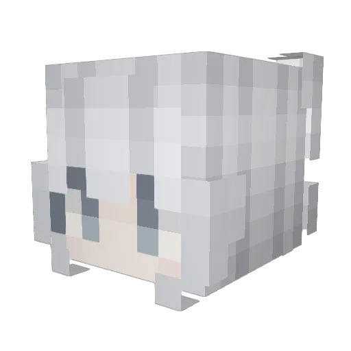 ACi_ Minecraft avatar head, 3D render
