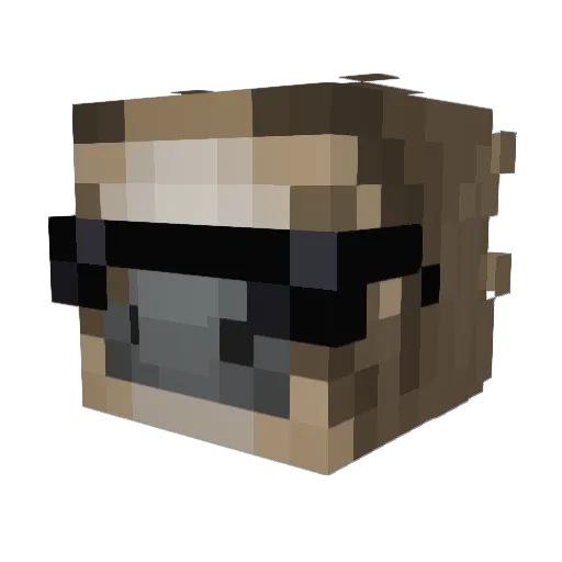 ACommonSloth Minecraft avatar head, 3D render