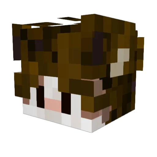 ACommunistPirate Minecraft avatar head, 3D render
