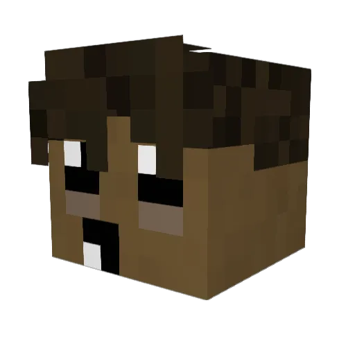 ACoolGuy1 Minecraft avatar head, 3D render