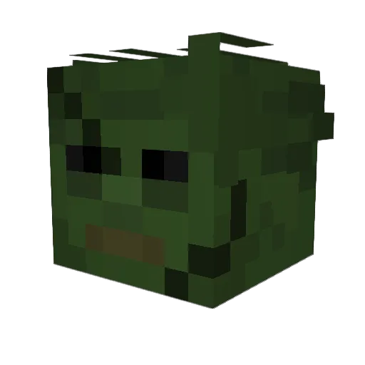 ACoolNameHere Minecraft avatar head, 3D render