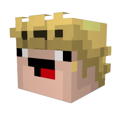 ACrazyHobo1 Minecraft avatar head, 3D render