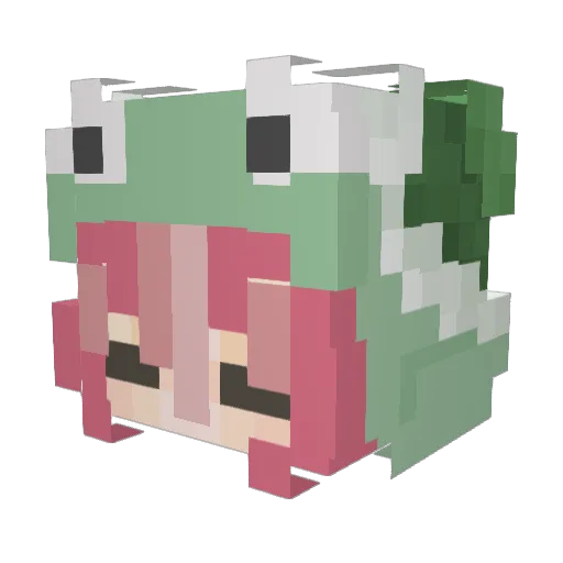 ACuuuteNyanCat Minecraft avatar head, 3D render