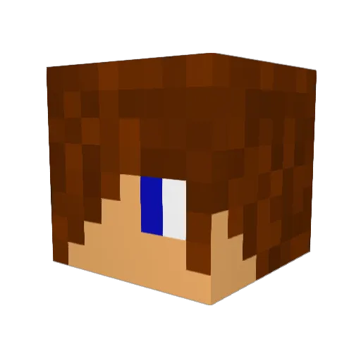 ADD_isme Minecraft avatar head, 3D render