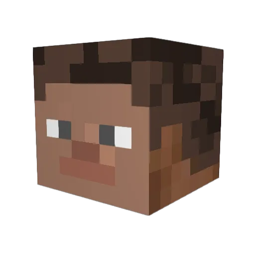 ADG200 Minecraft avatar head, 3D render