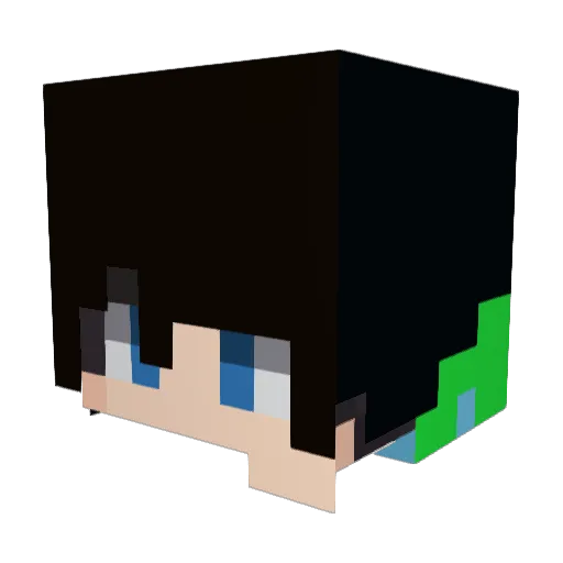 ADITYA_GAMER22 Minecraft avatar head, 3D render