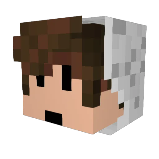ADMINGRA202 Minecraft avatar head, 3D render