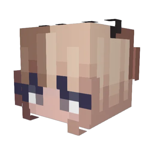 ADNCRFD Minecraft avatar head, 3D render