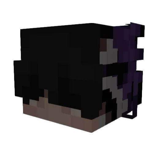 ADR_To_ziomek123 Minecraft avatar head, 3D render