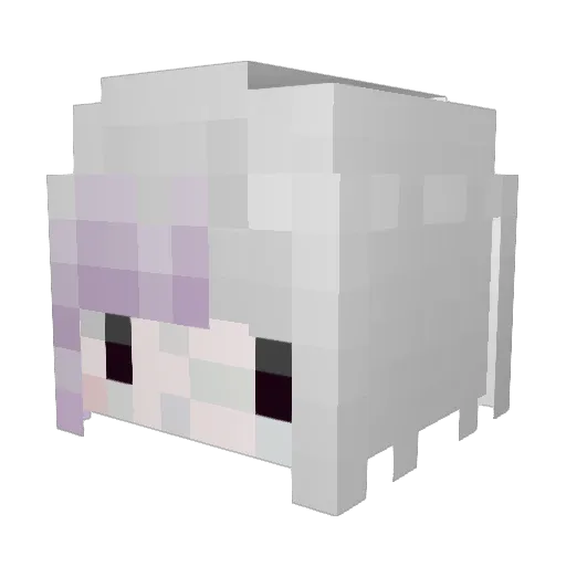 ADankMan77 Minecraft avatar head, 3D render
