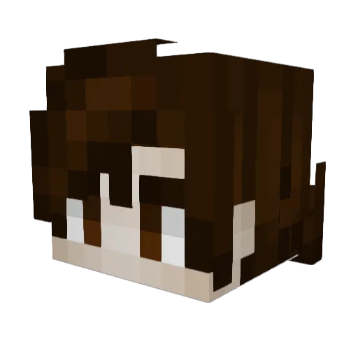 ADayLikeAny Minecraft avatar head, 3D render