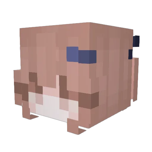 ADguyNai Minecraft avatar head, 3D render